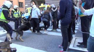 Poliser och motdemonstranter i Stockholm efter Svenskarnas Parti haft möte på GAT 20140830 [upl. by Donall]