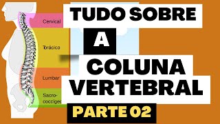 Aula 08  Anatomia da Coluna Vertebral Parte 02 [upl. by Erma]