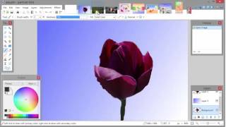 PaintNET  19 Nedir [upl. by Ydde]