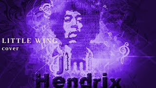 little wing Jimi Hendrix cover [upl. by Martinez106]