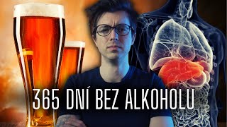 Co se děje s tělem když přestanete pít alkohol [upl. by Monty]