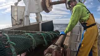 Midwater Trawl [upl. by Teage767]