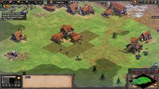 Teutons 232 Fast Castle into Boom Arena Build Order AoE2 [upl. by Ailadi]