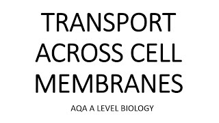 TRANSPORT ACROSS CELL MEMBRANES AQA A LEVEL BIOLOGY  EXAM QUESTIONS RUN THROUGH [upl. by Siger]