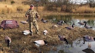 Motion Goose Decoys improve Goose Hunting Success Goose video [upl. by Judas289]