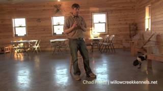 Puppy Training Basics  Whoa Training Using Positive Reinforcement [upl. by Drarig]