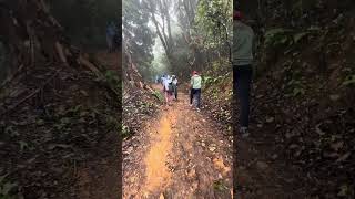 Bandaje Falls Trek  Monsoon trek  Karnataka  Western Ghats trek [upl. by Croft]