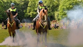 Politiepaarden  Demonstratie Paardenkamp Soest HD1080p [upl. by Pia]