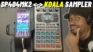 Roland Sp404mk2 404 update Koala Sampler Integration  Verysickbeats [upl. by Bokaj507]