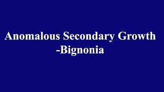 Anomalous Secondary Growth in Bignonia [upl. by Danuloff]