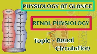 RENAL CIRCULATIONRENAL PHYSIOLOGY PART 4 [upl. by Sinnek670]