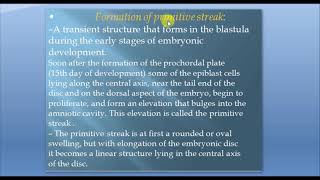 Formation of primitive streak  embryology [upl. by Saito673]