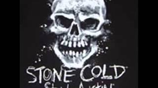 Stone Cold Steve Austin Classic Theme Song [upl. by Vescuso32]