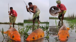 Amazing Koi Fishing video  Traditional village boy fish catching video in River 2024 fishing [upl. by Adiari]