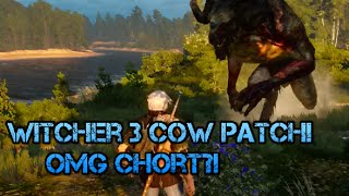 How To Find Chort The Cow Exploit Killer The Witcher 3 Easter Egg [upl. by Eirrot]