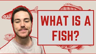 Ichthyology Lesson 1  What Is A Fish [upl. by Glenda965]