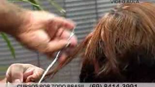 DICAS E TRUQUES PARA CORTAR CABELO COM AS MELHORES TECNICAS DO MUNDO  Elias Vieira Haircut [upl. by Tristam]