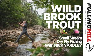 Dry Fly Fishing Wild Brook Trout on a Small Mountain Stream [upl. by Esereht336]