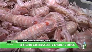 Sopa de galeras de Sanlúcar de Barrameda en Andalucía Directo [upl. by Retepnhoj]