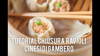 Tutorial come chiudere gli involtini di gambero cinese o Shaomài [upl. by Theona243]