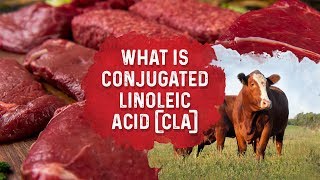 What Is Conjugated Linoleic Acid – Dr Berg [upl. by Neom]