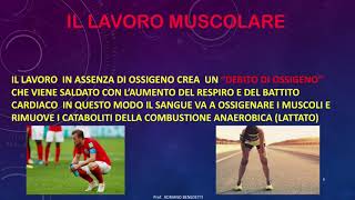 Il lavoro muscolare [upl. by Christi]