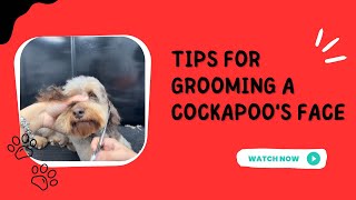 Easy Cockapoo Face Grooming Tips for a Fluffy Look ✂️✨ groominghacks [upl. by Haggar69]