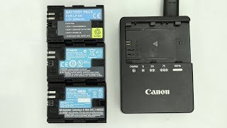 Different type of Canon LPE6 Batteries [upl. by Niroht469]