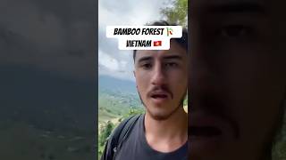 FIRST TIME entering a BAMBOO FOREST 🎋🇻🇳 travel vietnamadventures traveldestinations [upl. by Lawlor]