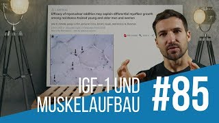 IGF1 Funktionen und Wirkung beim Muskelaufbau [upl. by Yorick466]