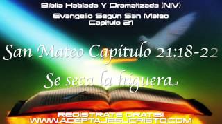 SAN MATEO  Capitulo 21 BIBLIA HABLADA Y DRAMATIZADA NVI [upl. by Akimyt]