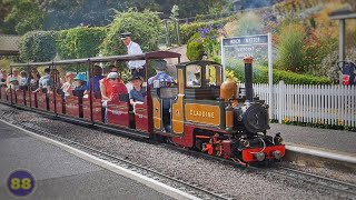 Beer Heights Light Railway  Pecorama  29072019 [upl. by Aip]