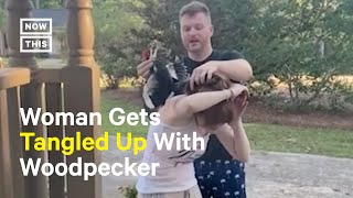 Woodpecker Mistakes Womans Hair for Nest in Viral Clip [upl. by Basham293]