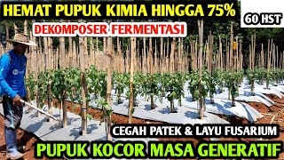 🔴 HEMAT PUPUK KIMIA HINGGA 75 DENGAN DEKOMPOSER FERMENTASI CEGAH PENYAKIT PATEK petanicabesubang [upl. by Ojoj]