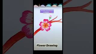 How to draw flower🌺drawing diy ytshortviral [upl. by Aimaj]