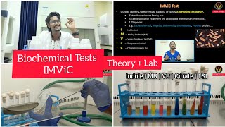 Biochemical Tests  IMViC  Tamil  Microbiology  Indole  MRVP  Citrate  Biology ThiNK VISION [upl. by Nivloc]