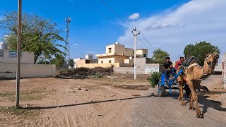 A beautiful village Chubkiya Tal Rajasthan 4K Ultra HD [upl. by Trammel]