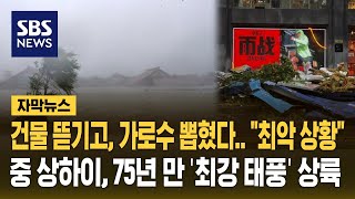 건물 뜯기고 가로수 뽑혔다…중국 상하이에 75년 만 최강 태풍 상륙 자막뉴스  SBS [upl. by Canute541]