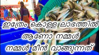 നമ്മളുടെ വീട്ടിൽ വാങ്ങുന്ന മീൻ ഇത്രയും കൊള്ളലാഭത്തിൽ ആണോ കിട്ടുന്നത്kerala kadal fishing [upl. by Dinnage999]