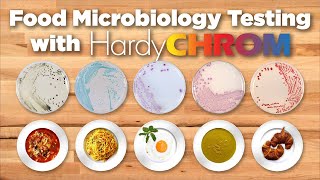 HardyCHROM™ Chromogenic Media for Food Safety Testing [upl. by Llennoc]