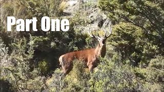 Roar 2018 PART ONE  Roaring Reds Stags of Marlborough  Autumn Hunt [upl. by Nunes]