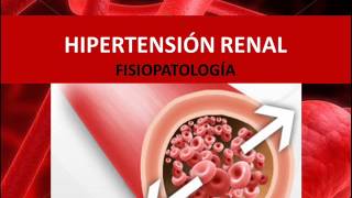 Hipertensión renal  Fisiopatología [upl. by Notned]