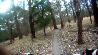 Mountain Biking at Lysterfield  Aneurysm Trail [upl. by Bobina353]