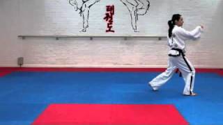 Chon Ji Tul and basic movements for grading to 8th kup [upl. by Nogras]