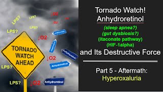 Part 5 Anydroretinol and Hyperoxaluria sleep apnea gut dysbiosis collagen issues POTS [upl. by Norak]