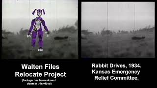 Walten Files Starving Rabbit Source Video [upl. by Ohare]