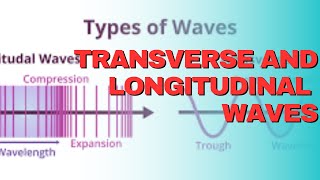 Transverse and longitudinal waves  Waves Physics  Class 11 physics class11 [upl. by Chem]