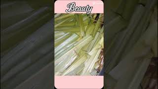 Make Essential oil at home CrockpothydrosolveganHomeFragrancehealthbeautyaromatherapy [upl. by Atiuqam]