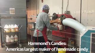 New Adventure 28 Hammonds Candy Factory Tour in Denver Colorado [upl. by Guenna98]