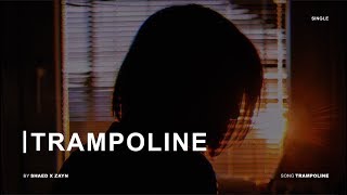 Vietsub amp Lyrics Trampoline  SHAED x ZAYN [upl. by Lamhaj]